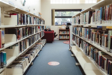 Book Shelves