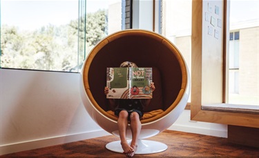 Pod Chair