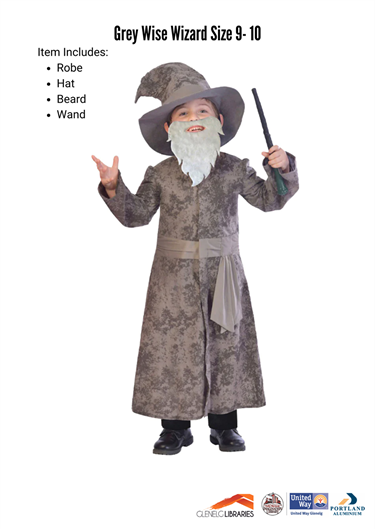 Grey Wise Wizard