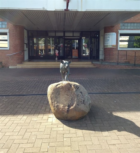 Kelpie in front of the office