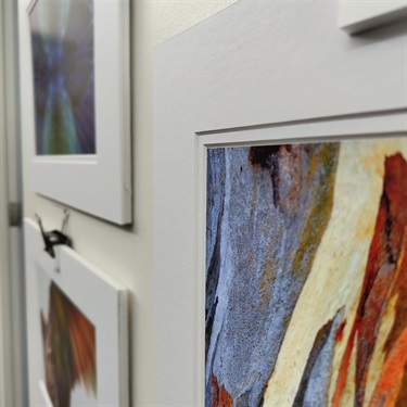 Detail of photographs by Marcel Hoog Antinck