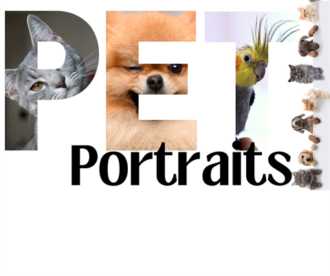 Pet Portraits Promotionals (1).png