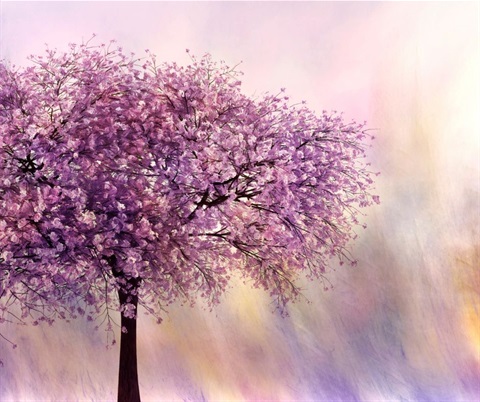 Blossom Tree Art.jpg
