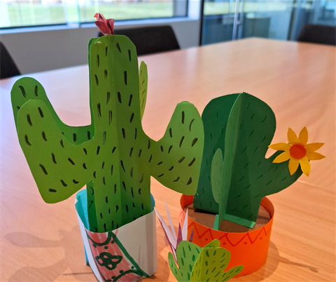 Cactus Country.png