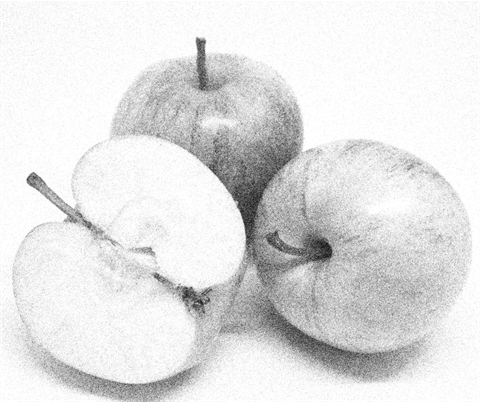Still Life Drawing